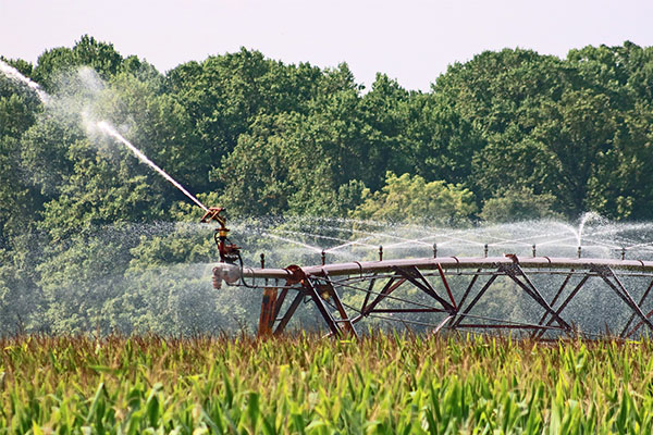 Early Warning System for safe reuse of treated wastewater for agricultural irrigation