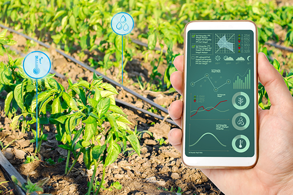 Match making tool between water demand for irrigation and safe water availability