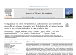 Comparative life cycle environmental and economic assessment ofanaerobic membrane bioreactor and disinfection for reclaimed waterreuse in agricultural irrigation: A case study in Italy