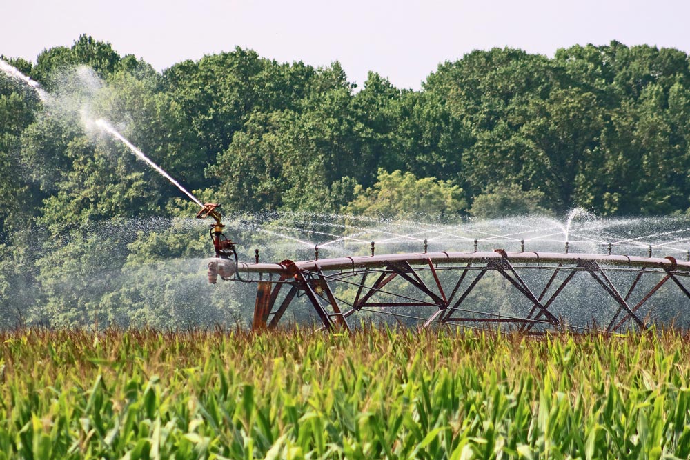 Diving into the early warning system for safe wastewater reuse in agricultural irrigation